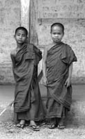 young novices. kala region