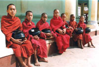 at swedagon pagoda