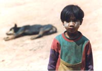 boy with dog