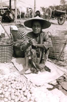 enjoying burmese cigars
