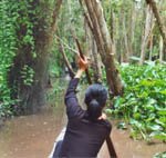 memorys